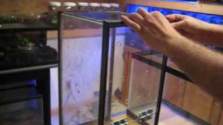 Plexiglass Lid Installation [upl. by Iclek]