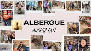 Albergue AdoptaCan 🐶  Proyecto de Ética [upl. by Nhguavoj424]