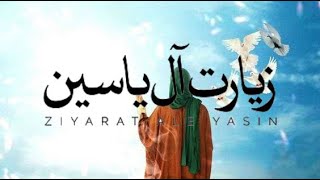 ziarat e ale yasin Ali fani Ziyarat Ale Yasin   علی فانی  زیارت آل یاسین [upl. by Adigirb]