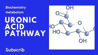 uronic Acid Pathway with tricks To remember [upl. by Tarrant]