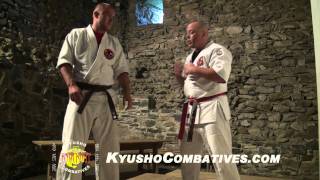 Dustin Seales Kyusho Combatives  Tuite Technique [upl. by Rather]