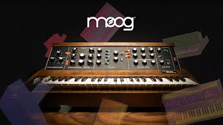 Moog Minimoog Synthesizer Trailer  UAD Instruments [upl. by Christean]