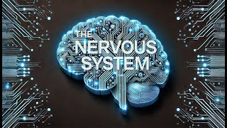 Study with Music Learn About The Nervous System Our Personal Supercomputer [upl. by Jehovah]