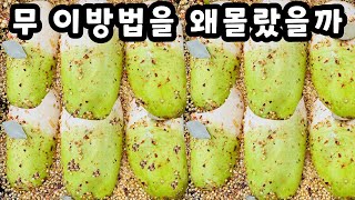 💚무 이걸 왜 몰랐죠 이렇게 맛있다니 놀랍습니다 한통 가득 만들어도 금방 다 먹어버립니다 [upl. by Hanikehs]