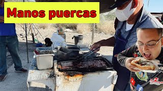 Conoce los dogos del manos puercas y los mejores percherones de Hermosillo Sonora [upl. by Leisam]