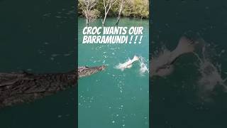 Crocodile competes for our barramundi  loser gets fish slap 😂 fishinglife fishing wildlife [upl. by Talyah416]