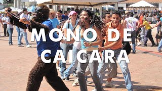 El Baile del Mono de Caicara  Tierra de Gracia [upl. by Eikcuhc]