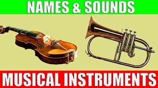 Musical Instruments Names and Sounds for Kids to Learn [upl. by Mauro763]