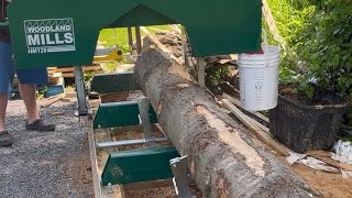 Milling a pine log on my Woodland Mills HM126 Sawmill [upl. by Knoll499]