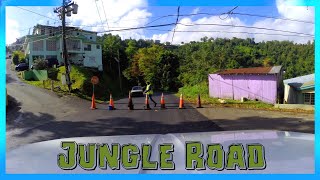 Jungle Back Road in Naranjito Driving in Puerto Rico [upl. by Alekin591]