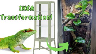 Lizard Lives in IKEA Furniture Now  DIY IKEA greenhouse  Turning an Ikea Cabinet into a Terrarium [upl. by Ikcin13]