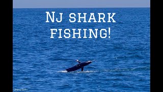 Thresher Shark Fishing off New Jersey  Epic Mako Jump and some Sea Bass Action [upl. by Leduar]