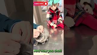 Off to the vet furry react furryreact vet cats kitten animals [upl. by Eatnohs]