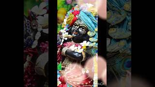 Jai Shree Krishna🙏🏻💝  Whatsappstatusshorts love love radheshyam music [upl. by Sidwell]