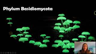 Phylum Basidiomycota [upl. by Ariak]