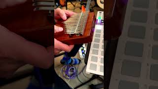 Electric Kalimba Jam TC Electronic Plethora X5 Delays [upl. by Rozelle]