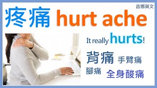 疼痛英文 hurt vs ache  背痛 手臂痛 腳痛 全身酸痛 英文  宅在家裡讀英文 Stay home studying English [upl. by Schaeffer656]