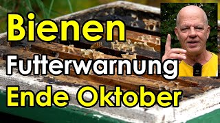 Futterwarnung Bienen Ende Oktober  letzte Arbeiten am Bienenvolk [upl. by Modnarb]