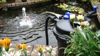 Pressurised Pond Filter Set Up PFC5000  All Pond Solutions [upl. by Aratehs]