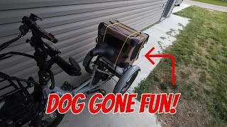 Took my dog for a ride on the Mooncool TK1 Folding Trike [upl. by Morey]