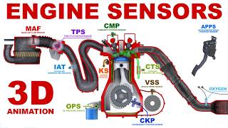 Engine Sensors  Basics 3D Animation [upl. by Aehtla]