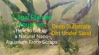 15gal Snack Container Planted Aquarium [upl. by Shepperd]