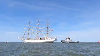 Sailout Tall Ship Races Harlingen  Eemshavenonline [upl. by Kinemod487]