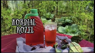 PETIK ROZEL DIKEBUN LANGSUNG BUAT KORDIAL ROZEL ‼️ ROZELLE CORDIAL [upl. by Retsof]