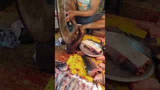 Stingray fish cutting kolkatafish youtubeshorts kolkatafishmarket shorts stingrayfishing [upl. by Foushee]