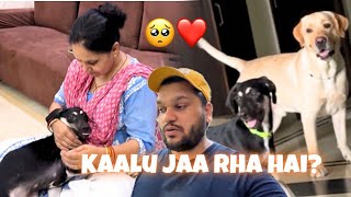 Kaalu Apni Family Ke Paas Jayega😓 vlog [upl. by Ahsitaf]