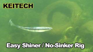 Easy Shiner No Sinker Rig [upl. by Aikkan]