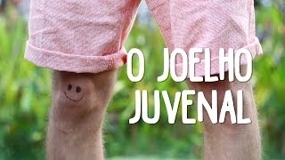 O Joelho Juvenal de Ziraldo  O Baú da Camilinha  Contação de Histórias [upl. by Norre347]