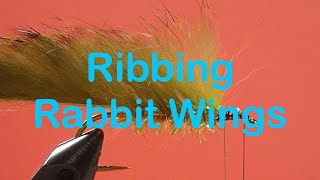 Beginners Fly Tying Series Tricks amp Troubles Ribbing a Rabbit Strip Wing [upl. by Modla]