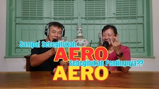 Yang Penting AERO [upl. by Hawkins49]