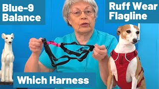 The Ruffwear Flagline Harness VS Blue9 Balance Harness Which Is Better For Your Dog [upl. by Vala691]