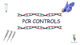 PCR CONTROLS  TYPES OF PCR CONTROLS [upl. by Aztiray]