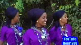 Ethiopian Traditional Music  ዋኘው አሸናፊ  ጅንኑ ጎጃሜ [upl. by Arah]