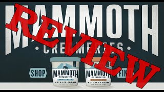 Mammoth Creameries Keto Ice Cream Review  Is It Really Keto  How Does It Taste [upl. by Atilemrac]