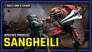 The Lore and History of the Sangheili  Halo Species Profile [upl. by Hcnarb]