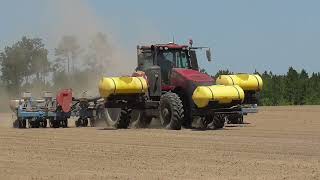 CASEIH MAGNUM305 PLANTING PEANUTS WITH A MONOSEM PLANTER BRIDGES FARMS 2022 PEANUT PLANTING PT2 [upl. by Sandell746]