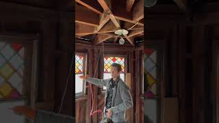 Old Mansion Home Pests wasps skunk pestcontrol insects pestcontrolbusiness bug [upl. by Nawor438]