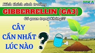 Nông dân cần biết  Hiểu về GA3 đầy đủ nhất Cách sử dụng GA3 hiệu quả nhất [upl. by Eiser]