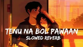 Tenu Na Bol Pawaan Slowed  Reverb  BehenHogi Teri  Kenji lofi [upl. by Nnylcaj]