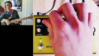 Strymon Volante Bass Demo [upl. by Aittam]