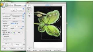 Scanning using the Epson Software [upl. by Daron]