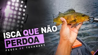 Essa Isca não Perdoavideodepesca pescadetucunaré fishing [upl. by Sonni]