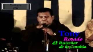 tony rosado  la sigo queriendo HD [upl. by Baptista668]