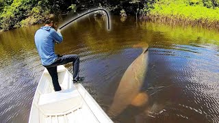 300 Lb MONSTER in a HIDDEN LAGOON INSANE [upl. by Eesac]