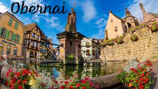 Obernai  Alsace quotPre Christmasquot Full Tour 4K [upl. by Siocnarf]