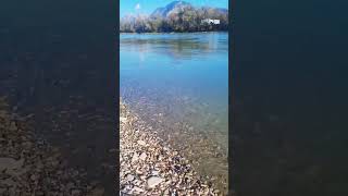 Beautiful sunny morning Austrian nature Inn river Tyrol Österreich travel nature shorts [upl. by Suoirrad]